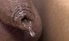 Shemale-kampuksen perse vitun ilman kondomia